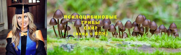 молекула духа Алзамай