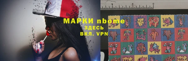 твердый Арсеньев