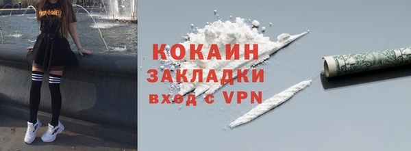 не бодяженный Алексин