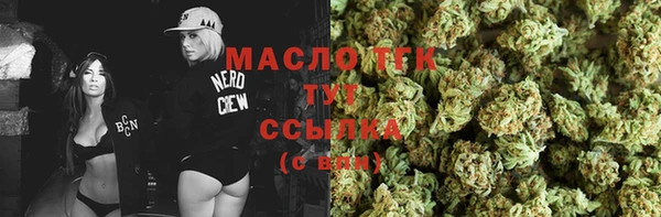 твердый Арсеньев