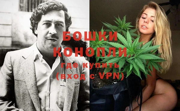 молекула духа Алзамай